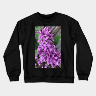 Purple Fragrant Lilac Heaven Crewneck Sweatshirt